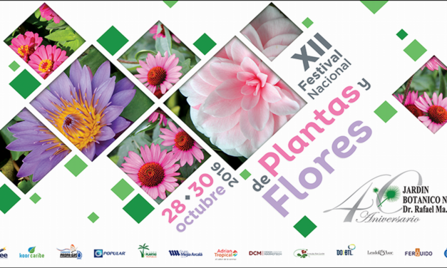 XII Festival de flores y plantas