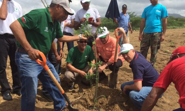 Concluye «Mes de la Reforestación»