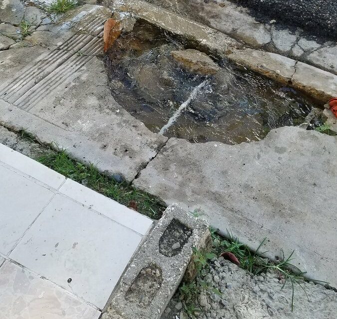 Un año desperdiciando agua ante la mirada indiferente de las autoridades