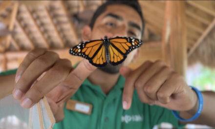 Cayo Levantado lidera conservación ambiental en El Caribe