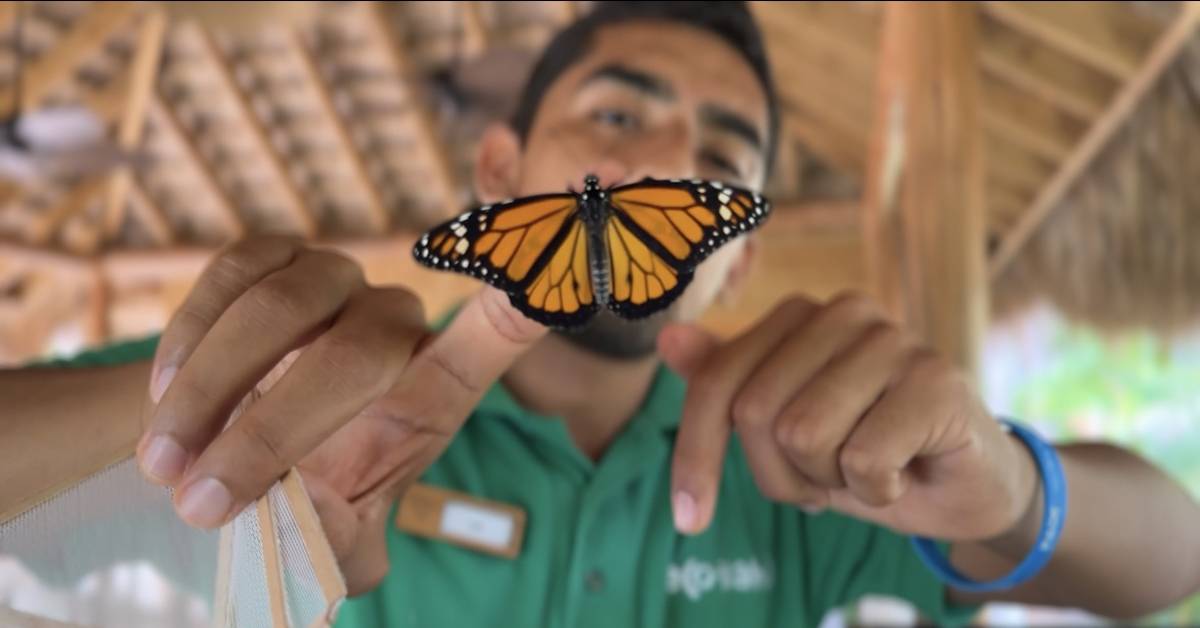 Cayo Levantado lidera conservación ambiental en El Caribe